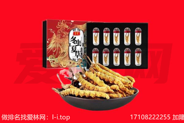广安武胜县回收虫草.jpg